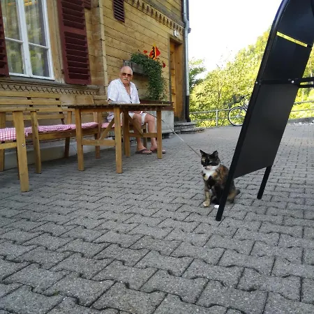 Schoenegg 2* Ринггенберг