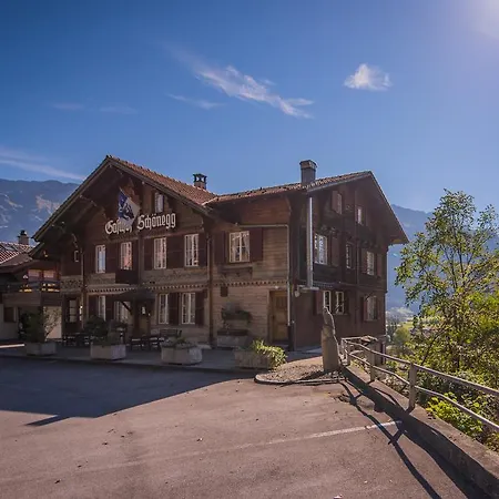 Мини-отель Schoenegg Ринггенберг