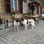 Schoenegg Inn